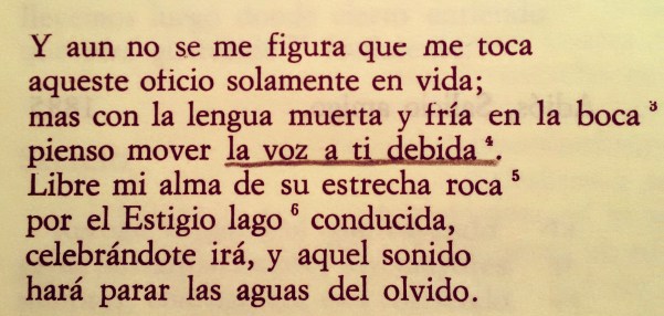 IMG_20150809_203603_edit